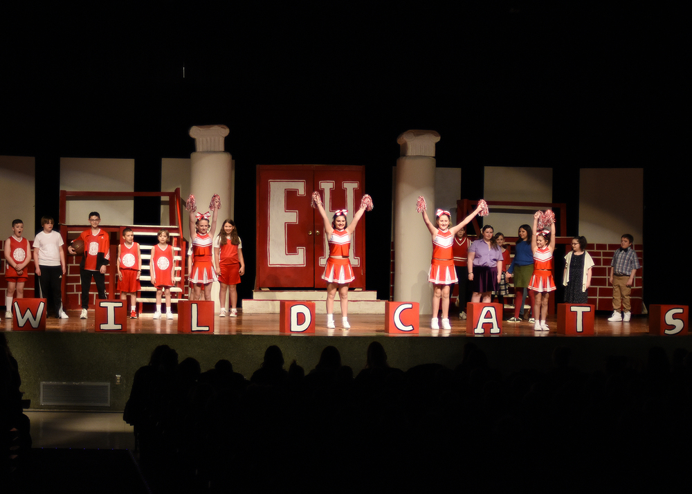 Disney's High School Musical Performance Outstanding!